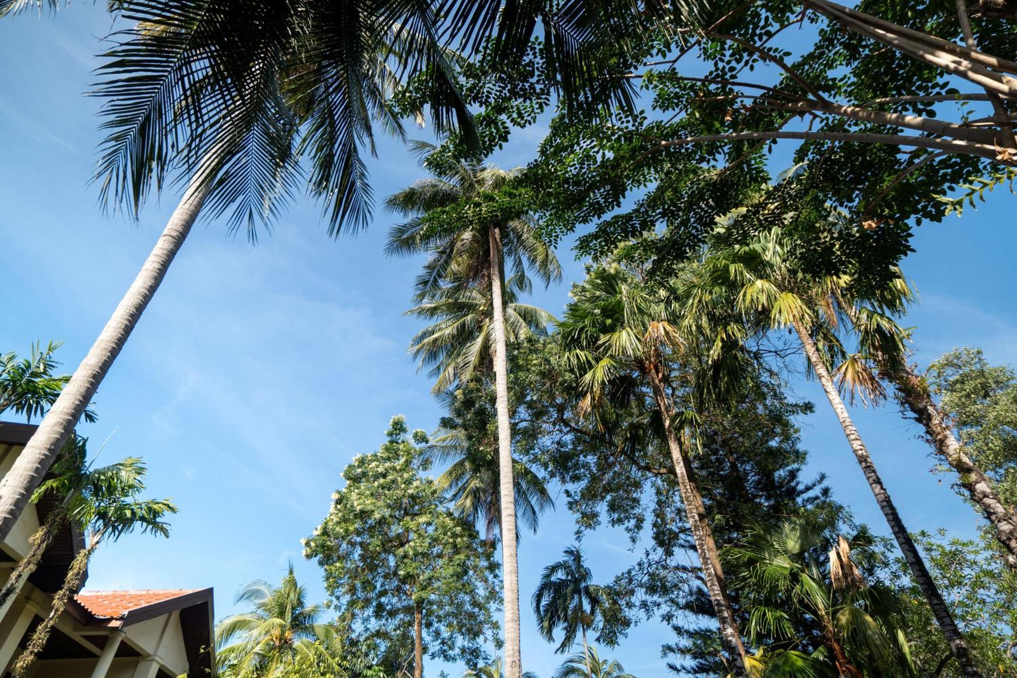 Phuket Leelavadee Hua Ting Resort Patong Kültér fotó